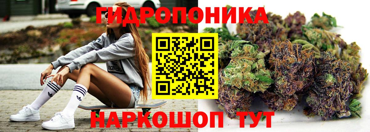 Каннабис план  Каннабис гибрид  Вход с VPN  Ртищево 